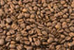 破茧成蝶进化的短信测压api